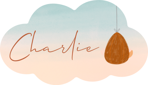 Doopsuiker wolkvorm met naam en baby | 20 stuks